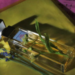 Elizabeth Arden: Walking On Sunshine Across 5th Avenue