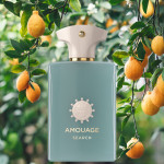 Amouage Search: Lettres Amoureuses