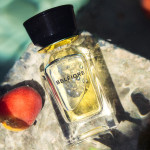 Belfiore OmanLuxury: Flowers, Apricots and Rocks