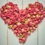 The Rose and Sweet Holiday