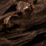 Oud Paired With the Unexpected