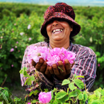 WPC 2024: Natural Corners Gives a Voice to Responsible Producers of Natural Ingredients