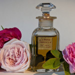 La Rose Jocelyn: A Vintage Rose by Godet