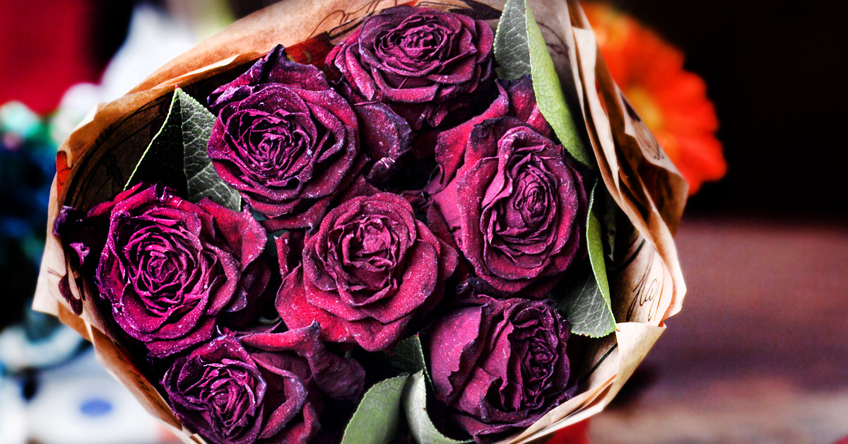 Perfumed Horoscope November 12 November 18 Fragrant Horoscope