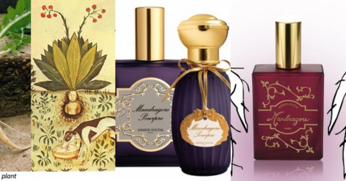 Annick Goutal Mandragore Pourpre ~ Fragrance Reviews