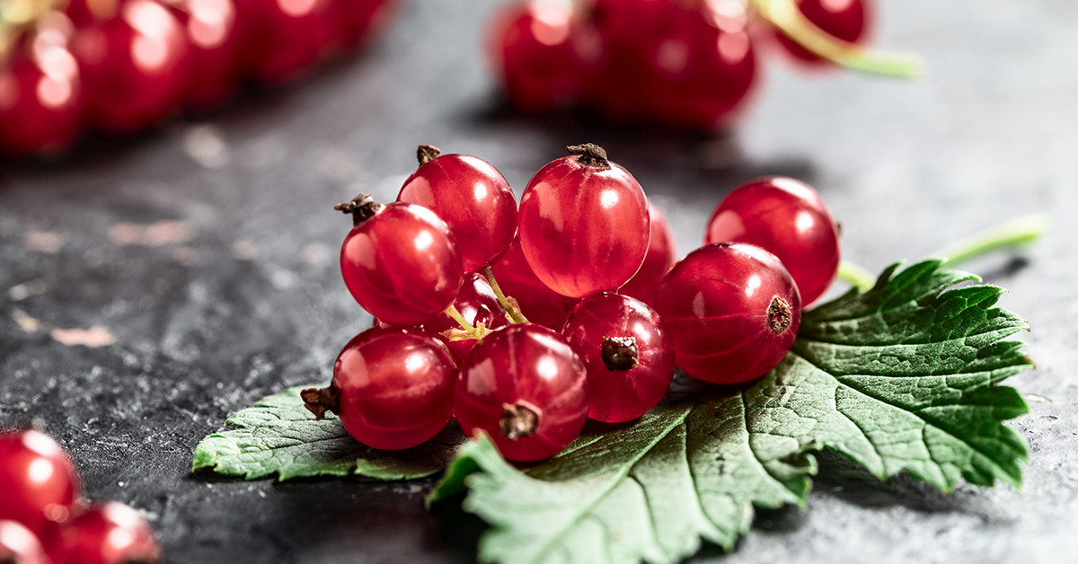 Perfumed Horoscope November 25 December 1 Fragrant Horoscope
