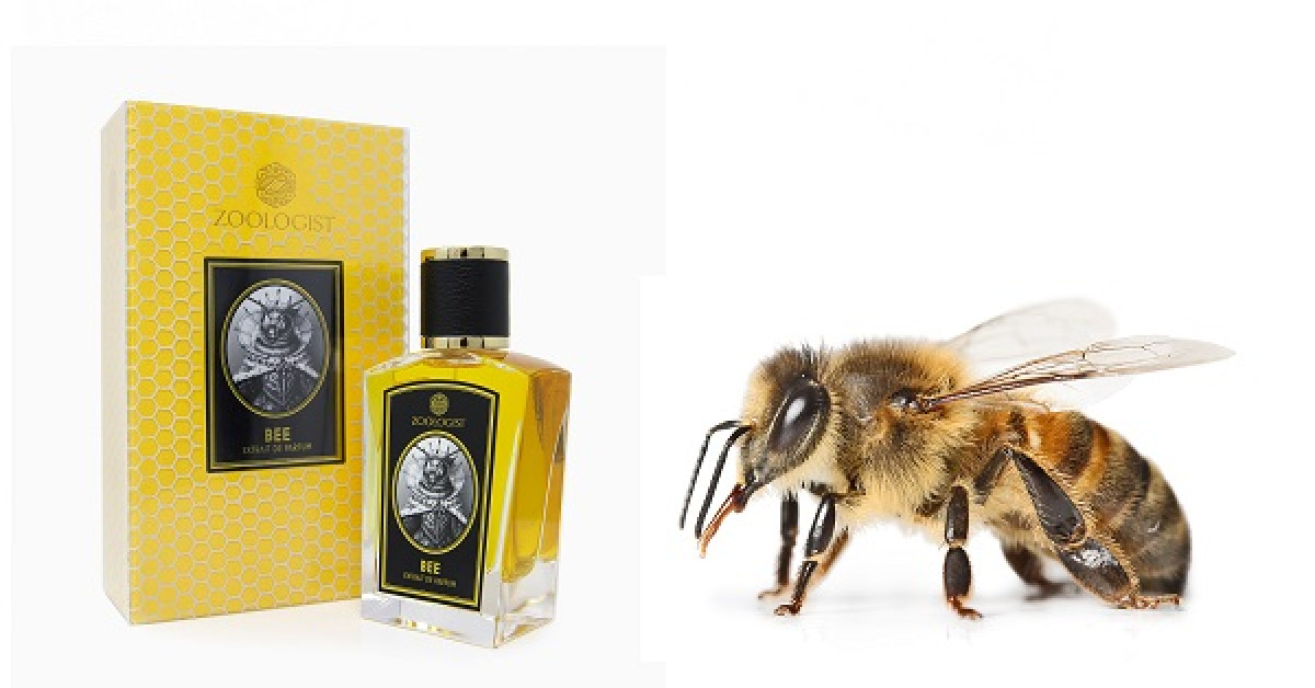 Вещь пчелы. Zoologist Perfumes Bee. Пчела зоологист Парфюм. Парфюмы zoologist Bee Парфюм. Koala zoologist духи.