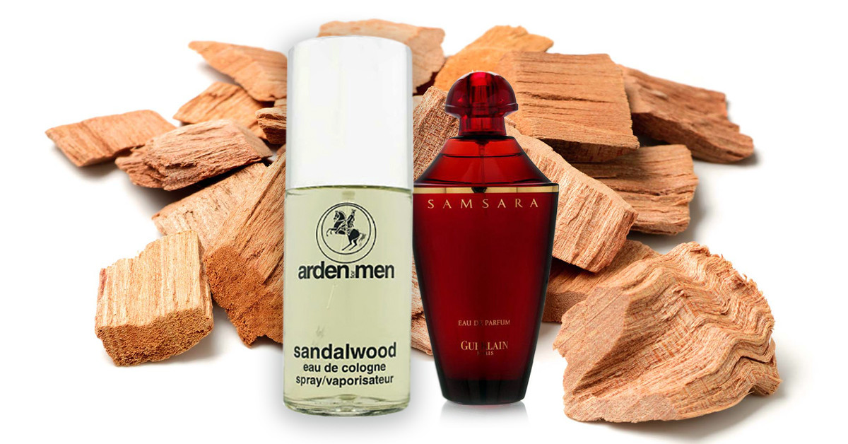 fragrantica sandalwood