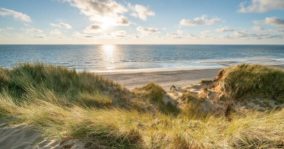 Perfumed Horoscope July 12 July 18 Fragrant Horoscope