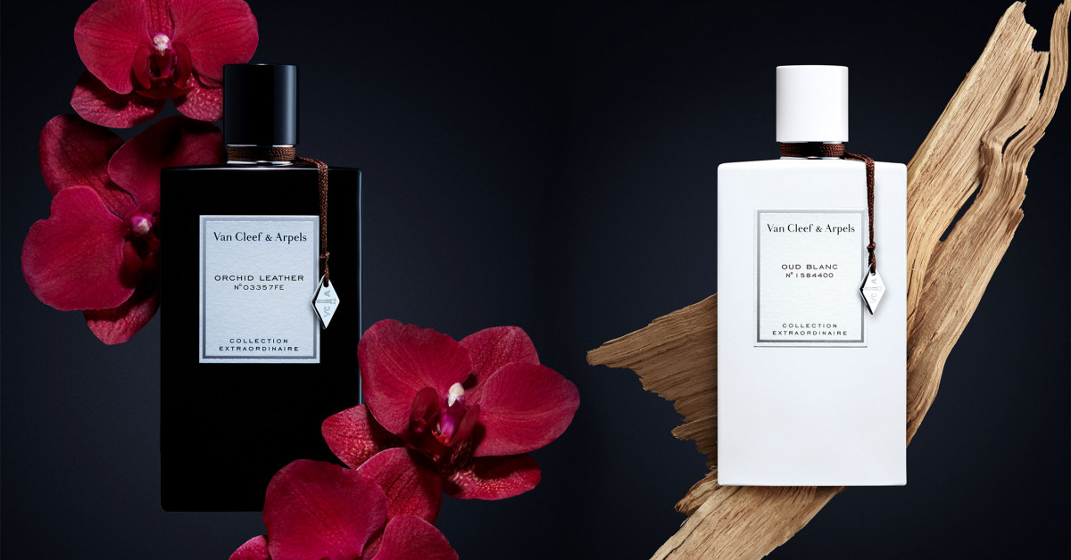 VAN CLEEF & ARPELS: New Orchid Leather & Oud Blanc ~ New Fragrances