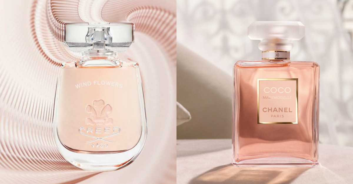 WHICH SHOULD YOU BUY BETWEEN COCO CHANEL MADEMOISELLE VS CAROLINA HERR