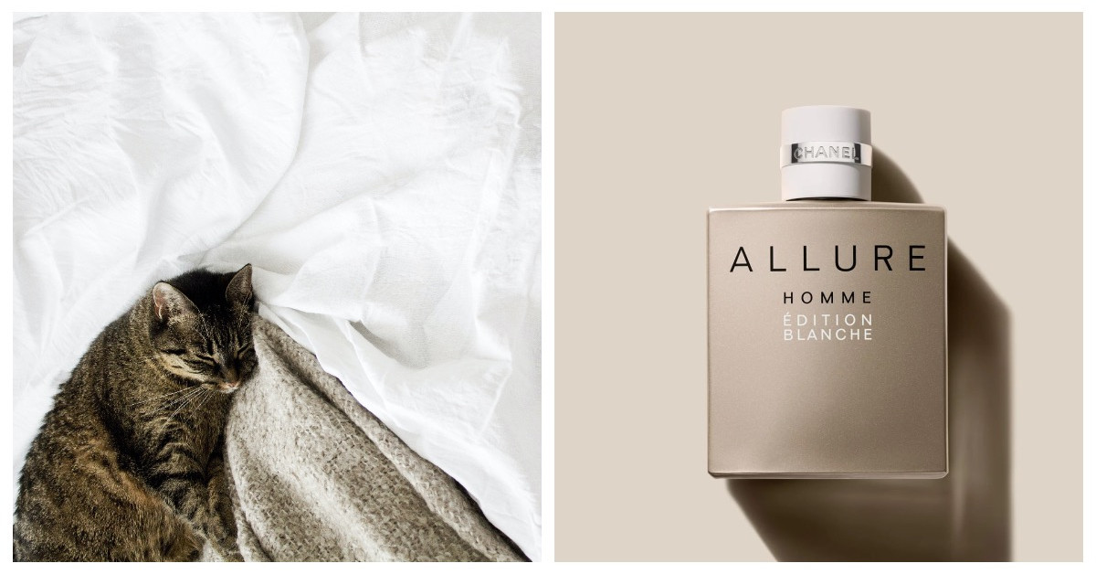 Allure Homme Edition Blanche: Meaningless Comfort ~ Fragrance Reviews