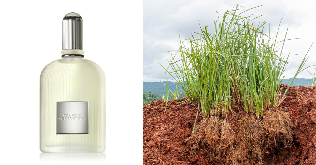 Tom Ford Grey Vetiver: One of the Driest Scents on Today's Market ~  Fragrance Reviews