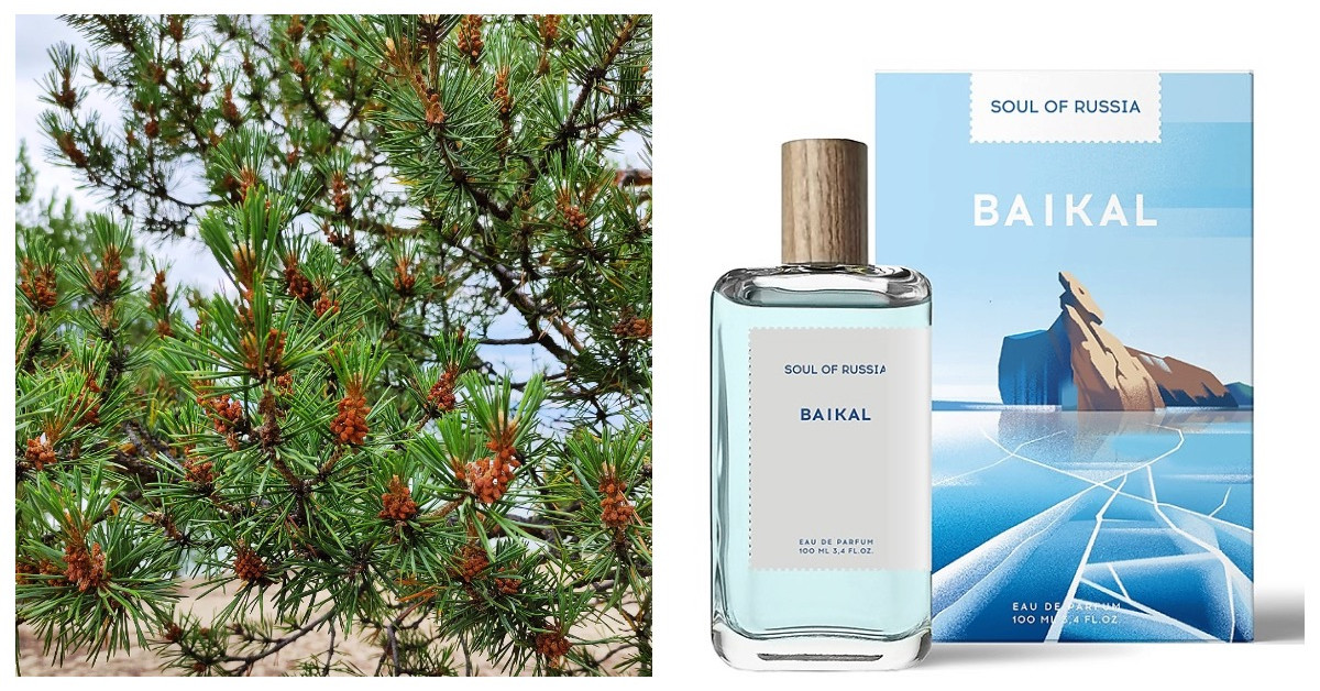 Baikal Smells and the Baikal Soul of Russia fragrance ~ New Fragrances