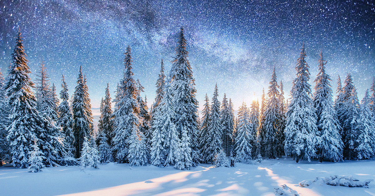 Perfumed Horoscope December 11 December 17 Fragrant Horoscope