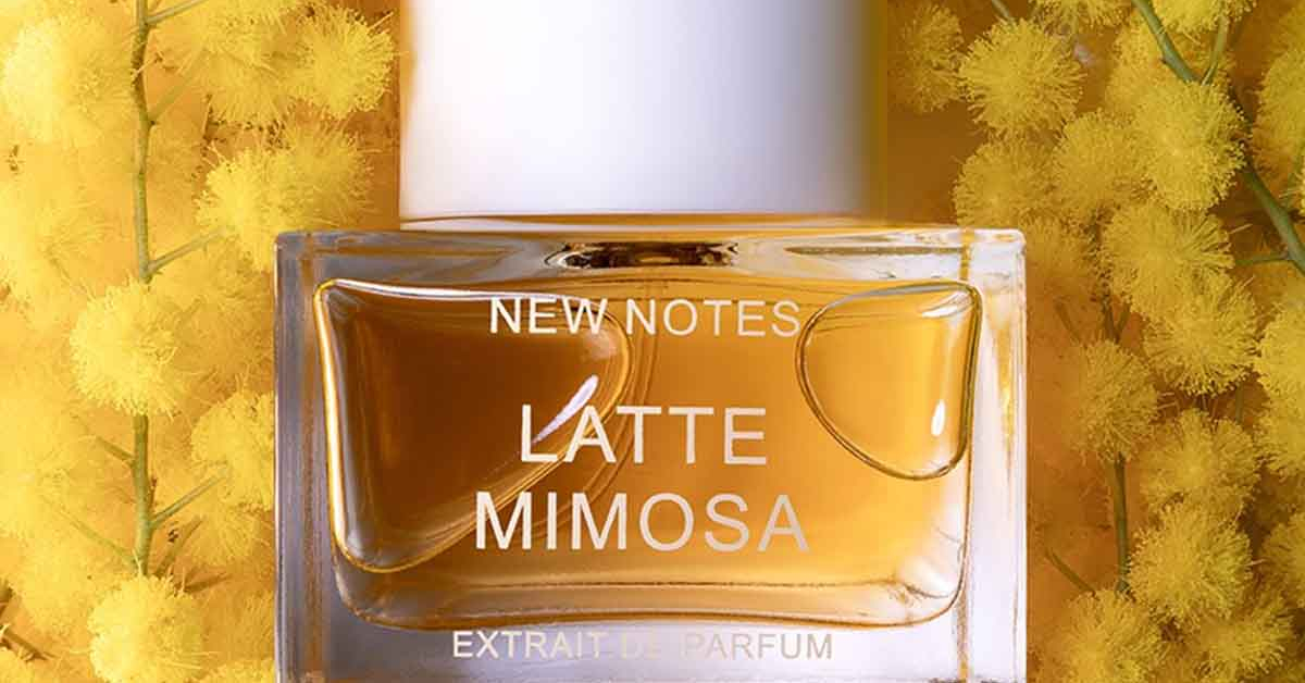 NEW NOTES Latte Mimosa ~ Niche Perfumery