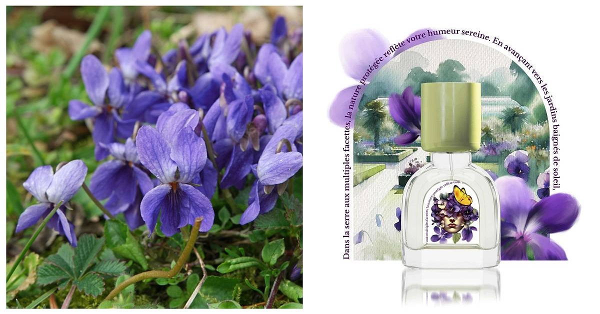 LÉ JARDIN RETROUVÉ VIOLETTE KEW 15ml Violette Kew – Powdery Floral Vegan Perfume for Daily