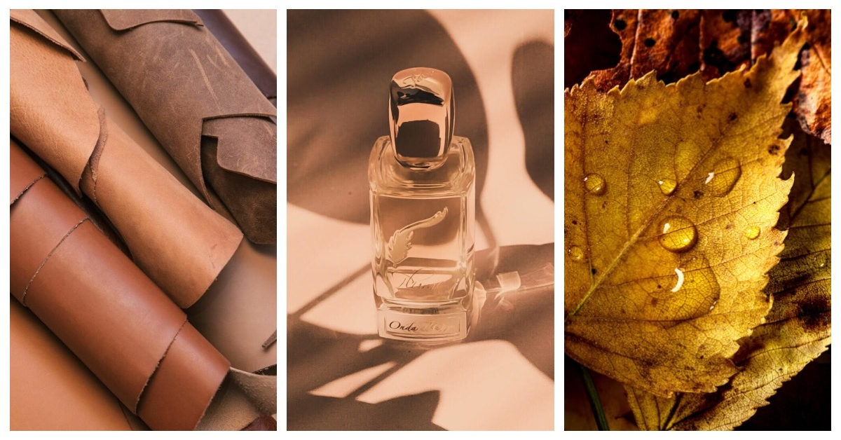 Onda d'Oro by Plume Impression: A Memory of Happiness ~ Fragrance