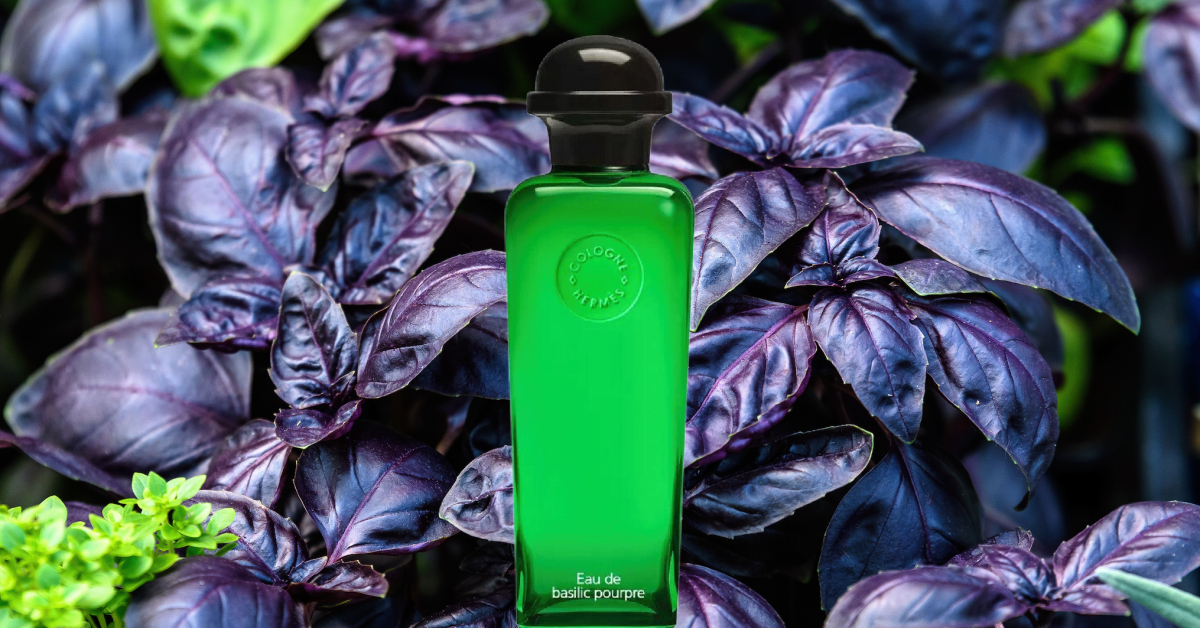 Eau de Basilic Pourpre by Hermès: An Unexpected Joy ~ Columns