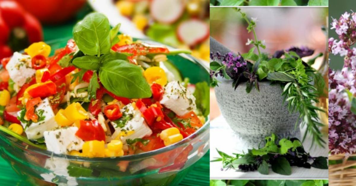 Marjoram Sweet Marjoram Raw Materials