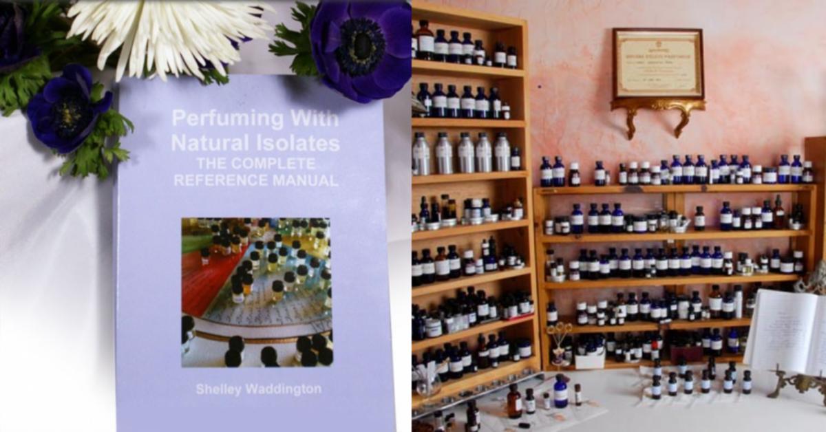 Natural discount isolates perfumery