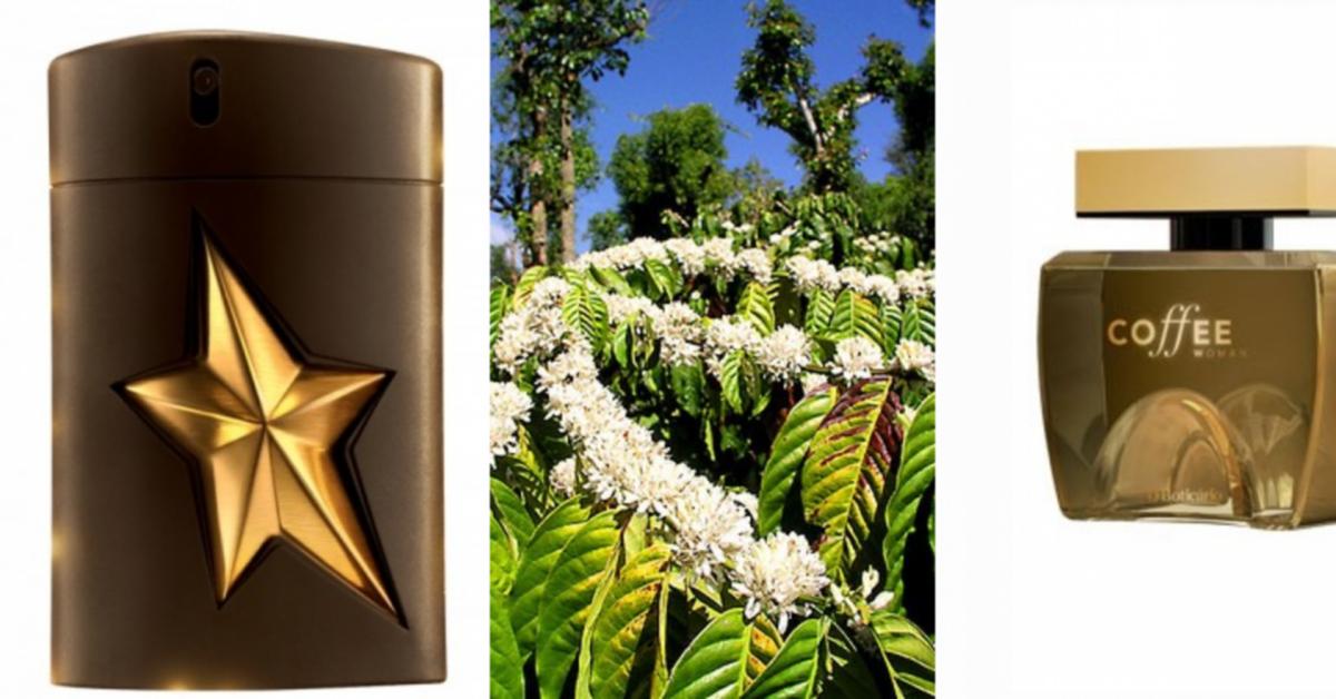 Coffee Raw Materials