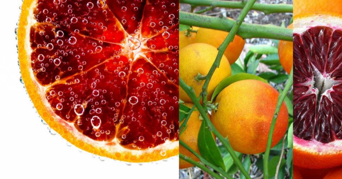 Blood Oranges Raw Materials