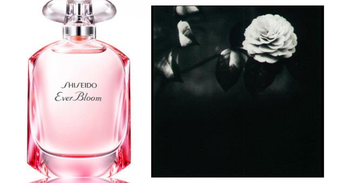 douglas shiseido ever bloom