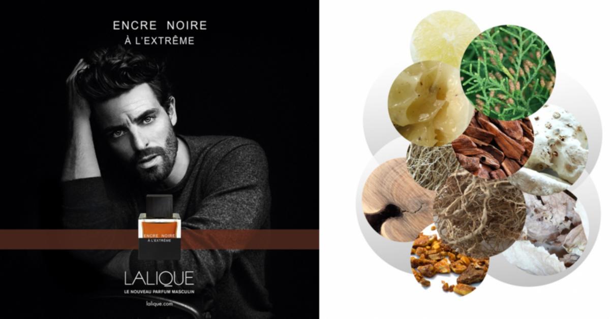 Encre Noire and Encre Noire A L'Extreme by Lalique