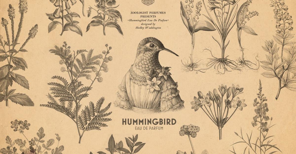 Hummingbird best sale zoologist perfumes