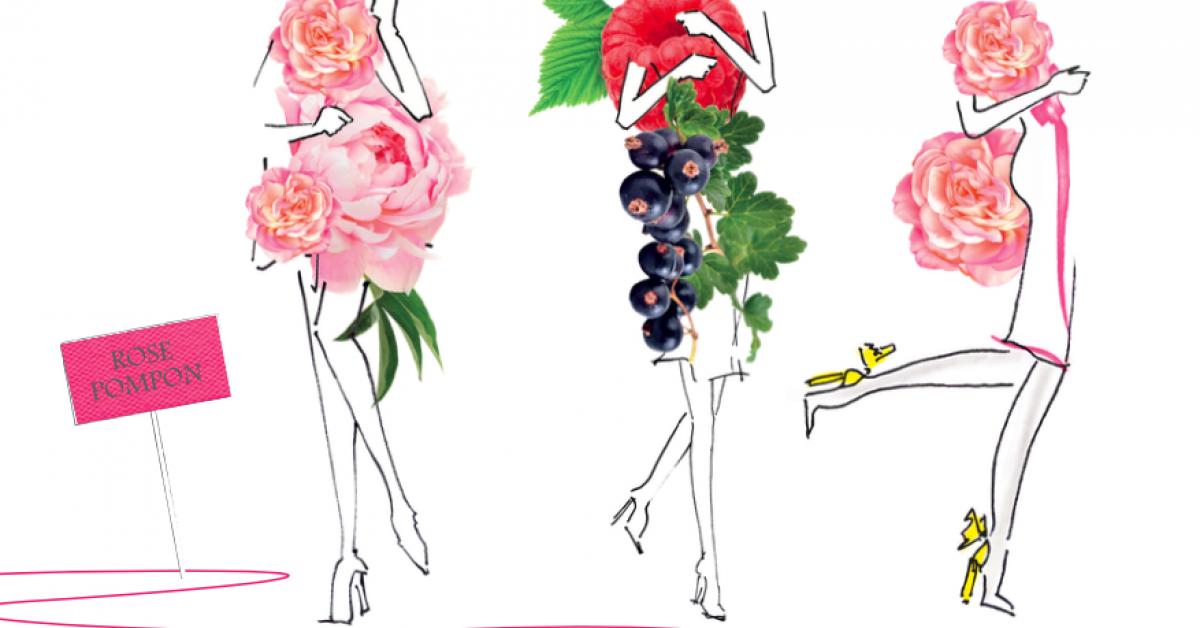 Fragrance Review Annick Goutal Rose Pompon (2016) Fragrance Reviews