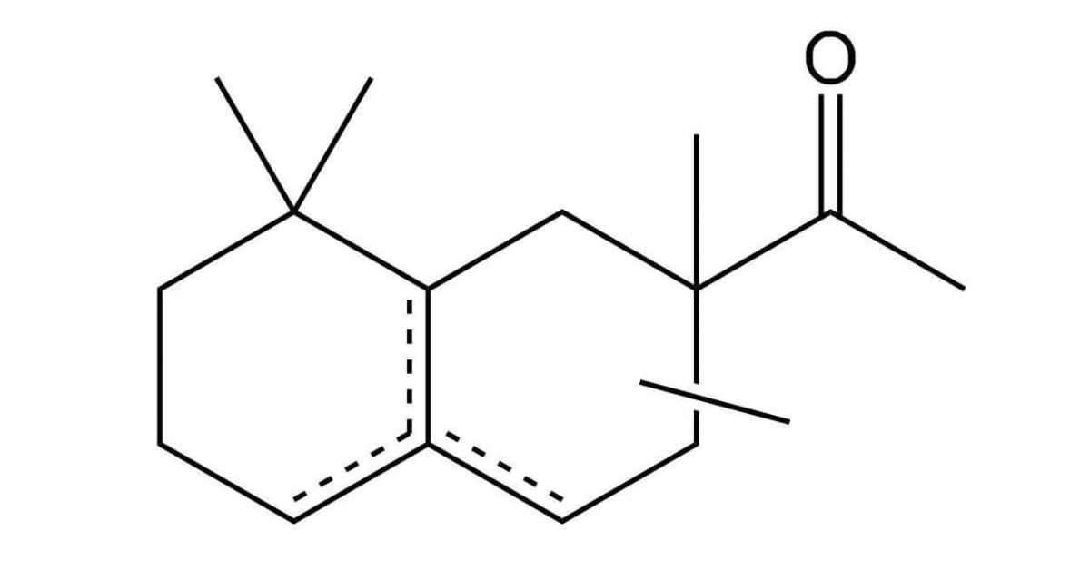 Molecule iso e discount super