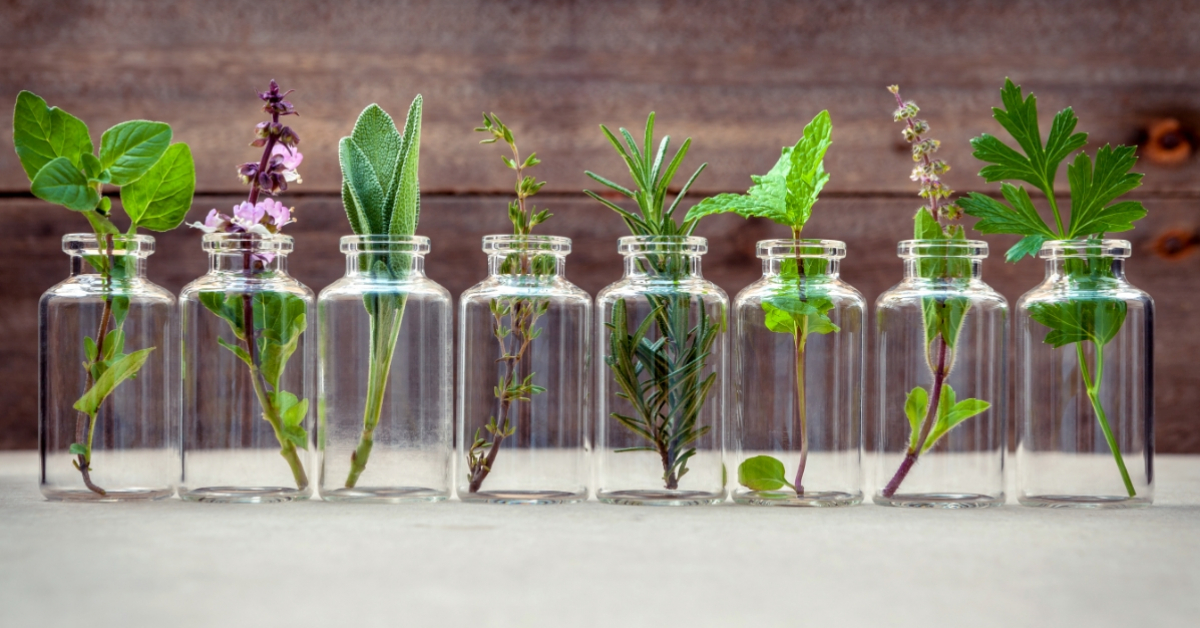 From Tincture To Supercritical Extraction — Methods Of Natural Aroma