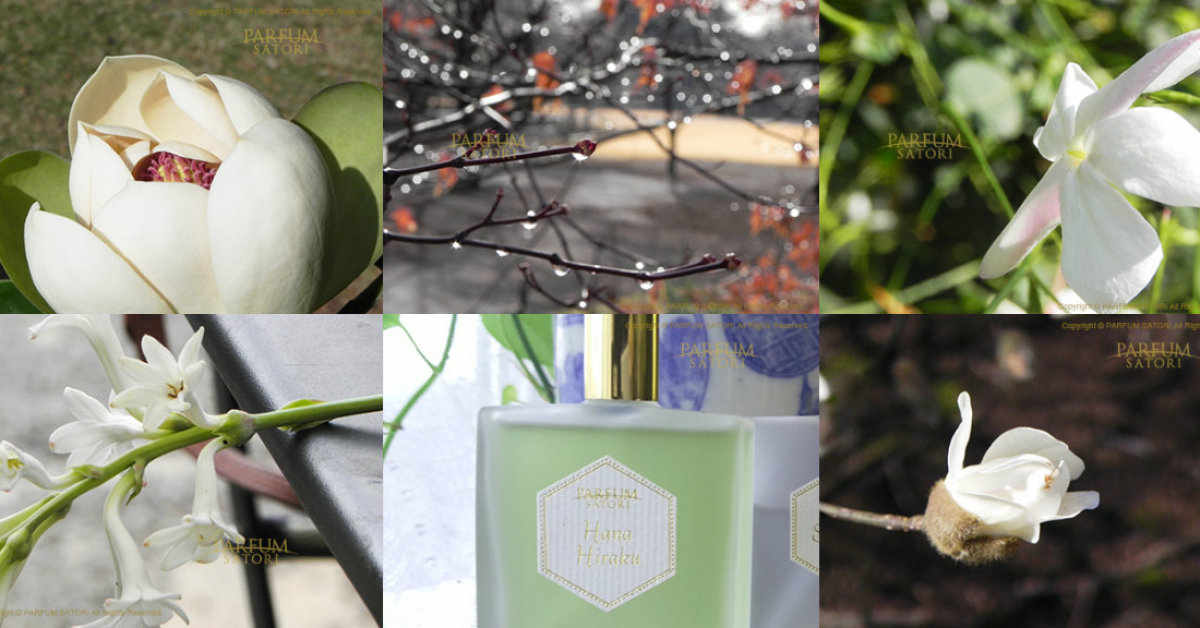 Parfum Satori Launches Hanahiraku Arrives In Amsterdam New Fragrances