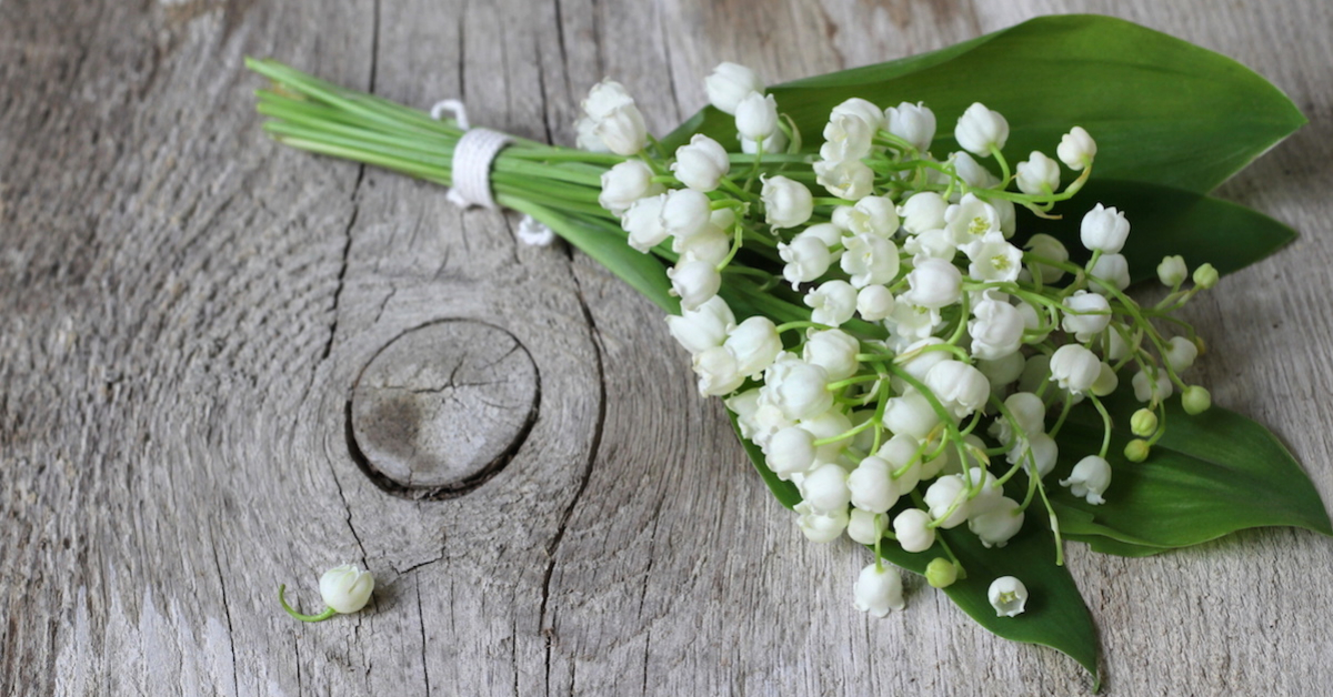 May Greetings: New Lily Of The Valley Aromachemicals ~ Raw Materials