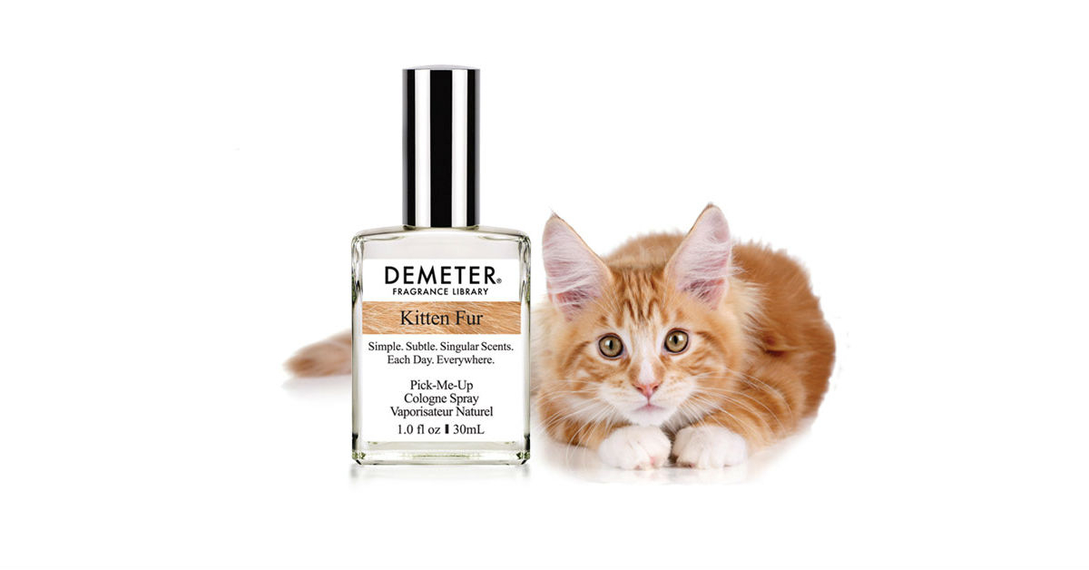 Kitten best sale perfume spray