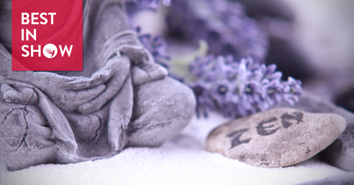 Best in Show Scents for Relaxation, Meditation & Sleep (2017) Best