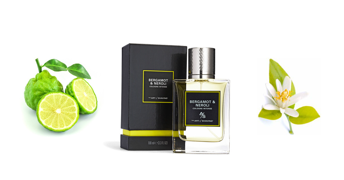 Парфюм muzk santal. Etro greene street. Сандаловое дерево и бергамот. Бергамот ветивер амбра. Bergamot духи.