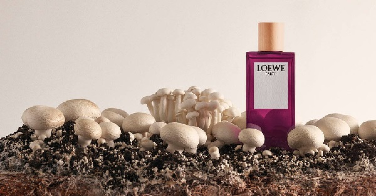 罗意威Loewe推出Earth香水~ 新香水