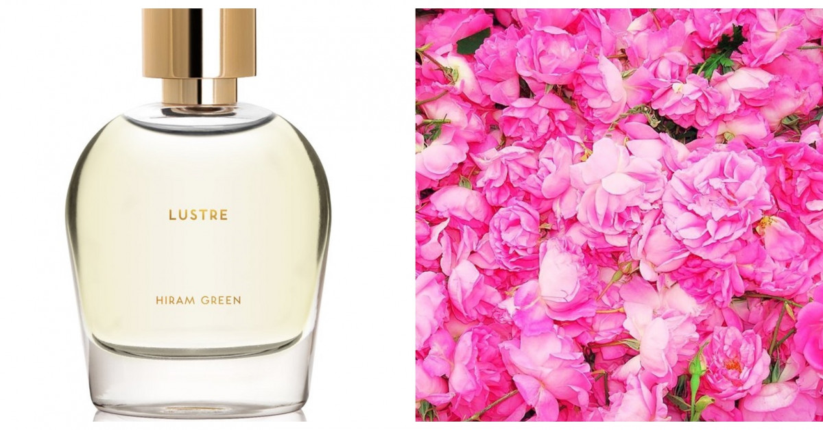 Hiram Green präsentiert Lustre ein Rosenduft vom Anfang bis zum Ende