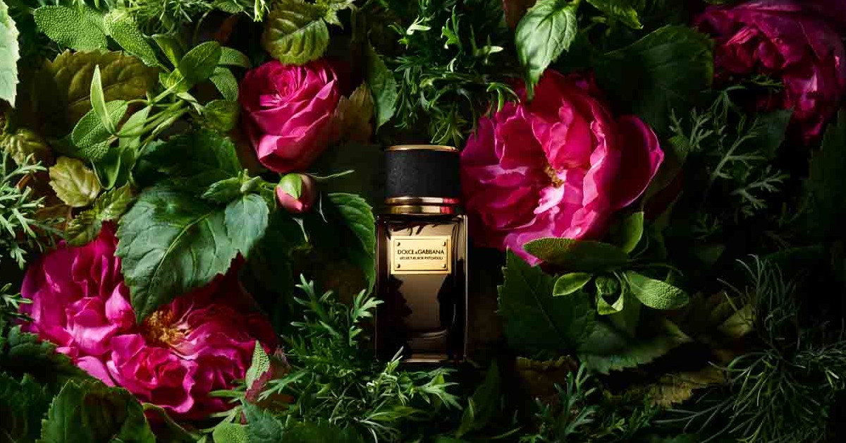 Dolce&Gabbana Velvet Black Patchouli Nuevas Fragancias