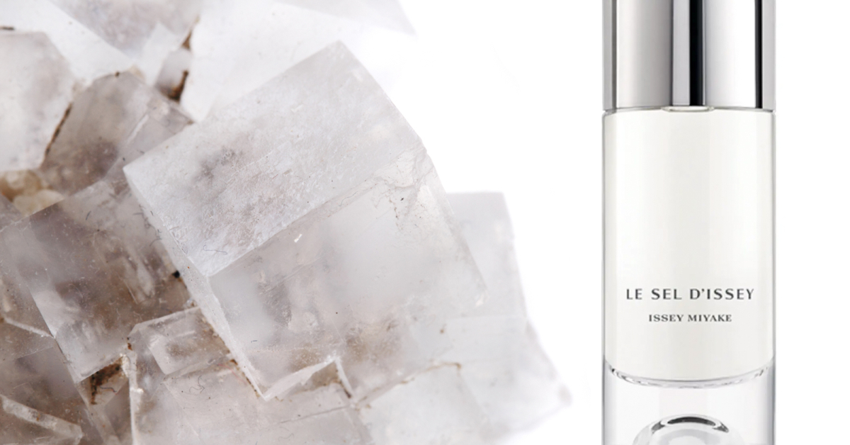 Issey Miyake Le Sel D'issey Eau De Toilette www.fragrantica.es