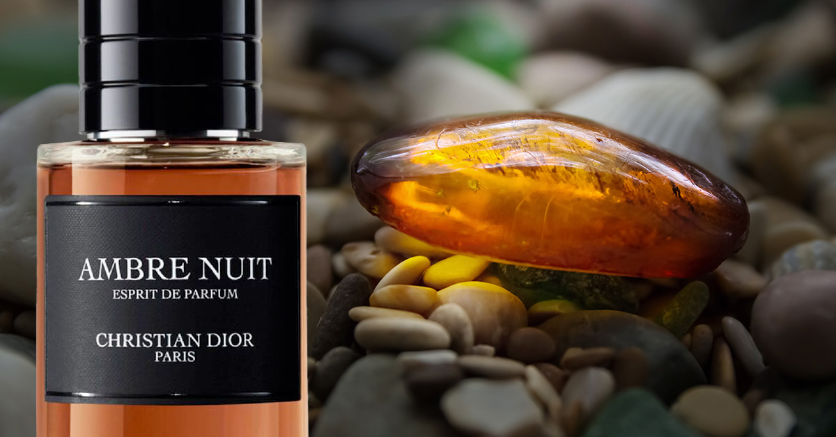 Um Novo Padrão de Referência: Ambre Nuit Esprit de Parfum da Dior