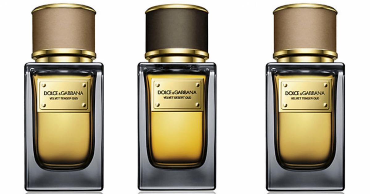 dolce gabbana tender oud