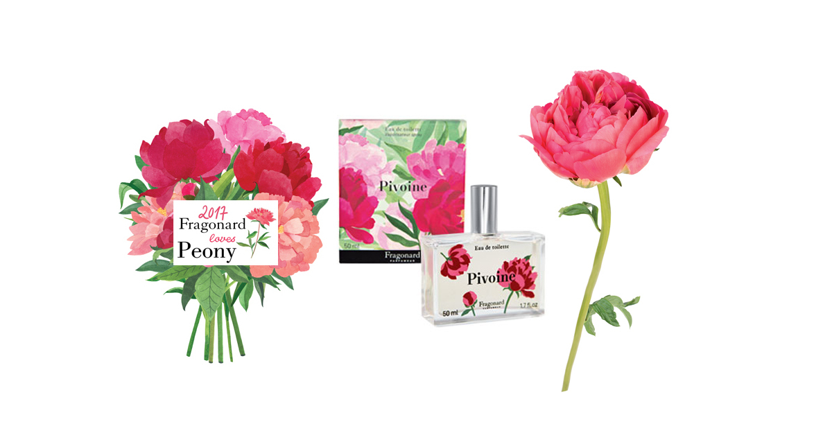 Fleur de pivoine. Fleur de pivoine. Фрагонар духи пион. Пион arbustive. Fleur de pivoine.