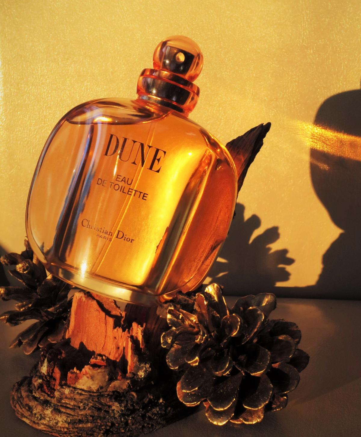 su様専用Christian Dior “DUNE PARFUM 30ml “+bnorte.com.br