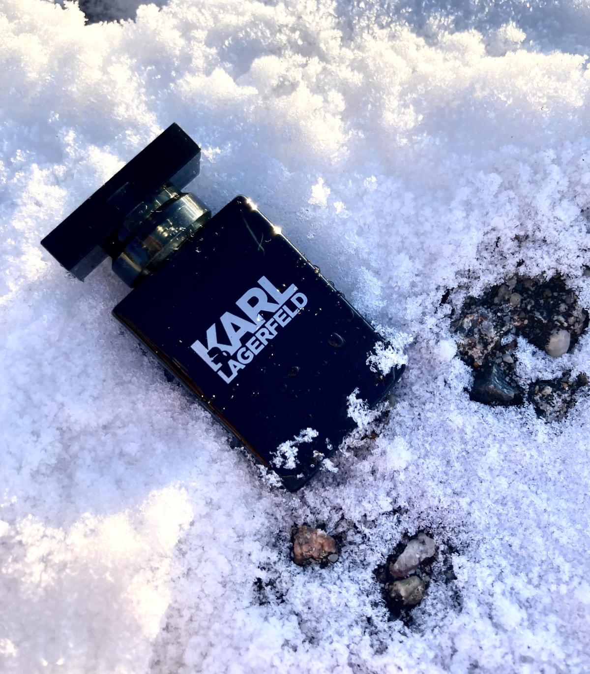 Karl Lagerfeld for Him Karl Lagerfeld cologne - a fragrance for men 2014