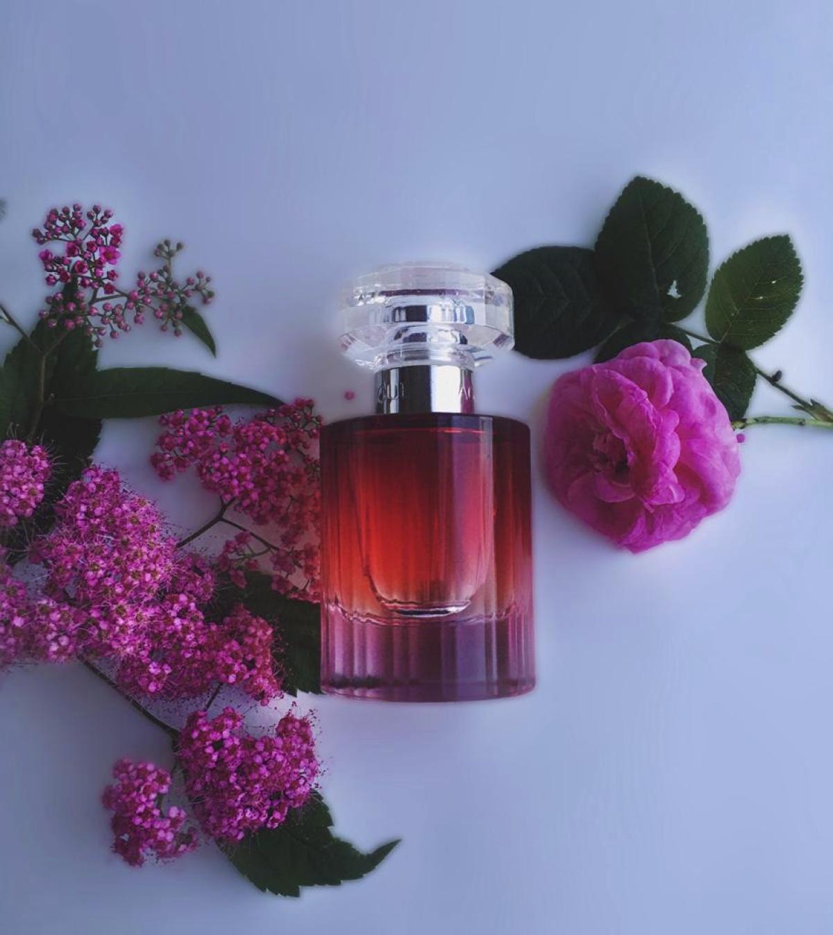 Magnifique Lancôme perfume - a fragrance for women 2008