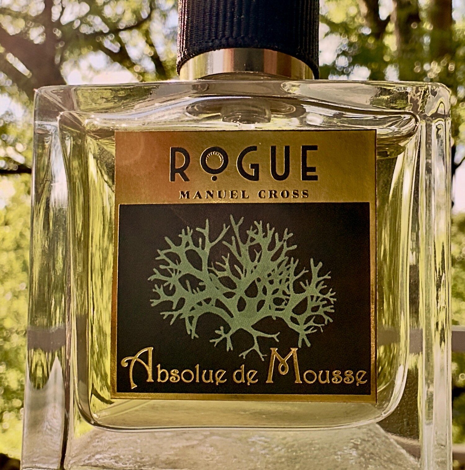 Rogue Absolute Absolue de Mousse Rogue Perfumery perfume - a new fragrance for women ...