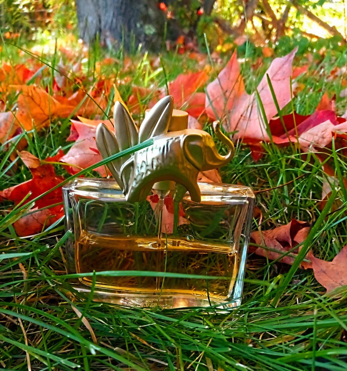 Kenzo Jungle L'Elephant Kenzo perfume a fragrance for women 1996